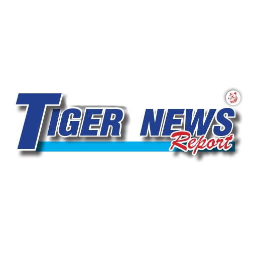โลโก้ TIGER NEWS REPORT