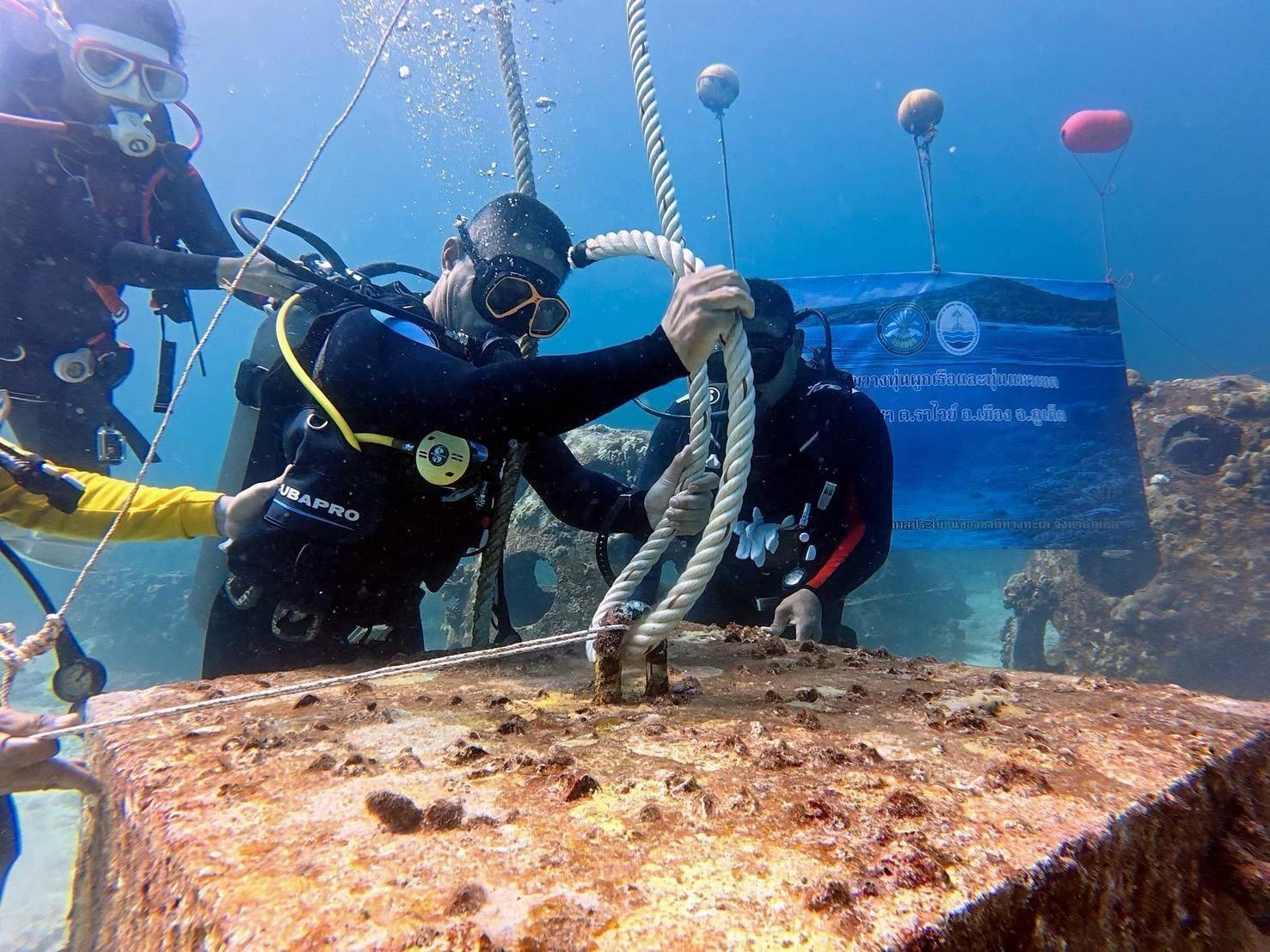 ภาพข่าว