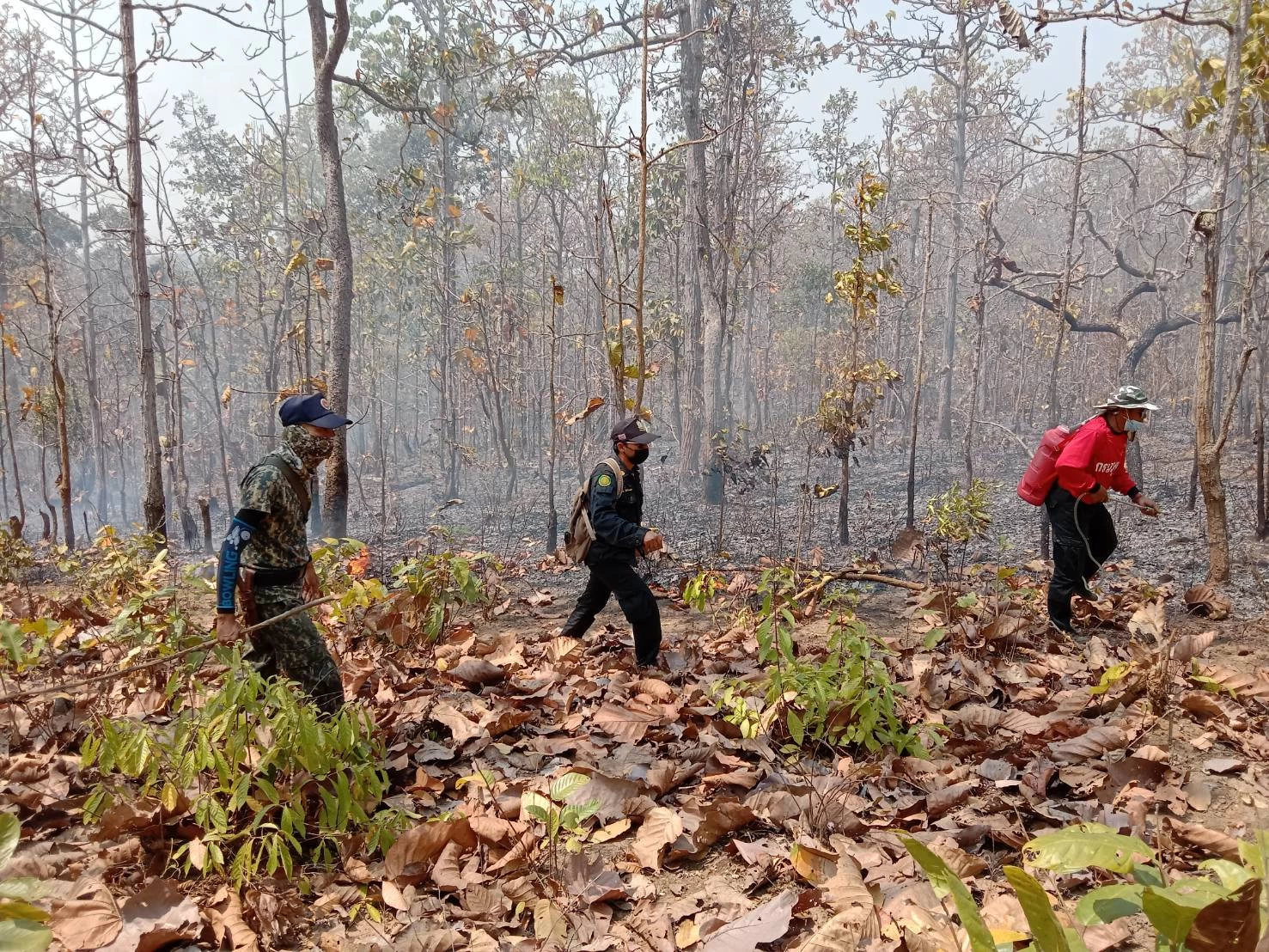 ภาพข่าว