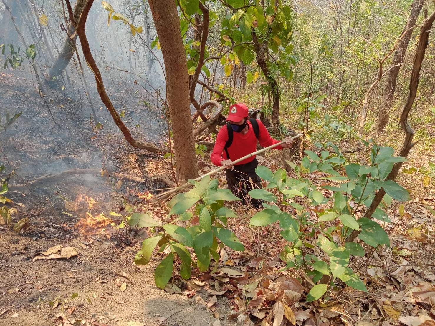 ภาพข่าว