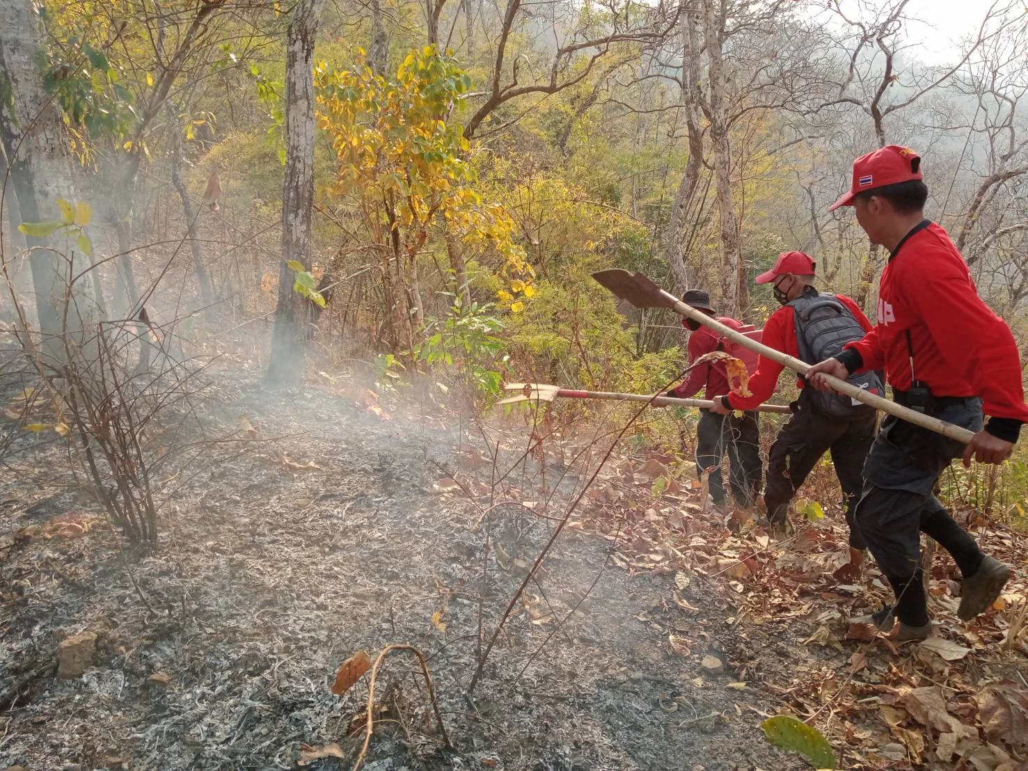 ภาพข่าว