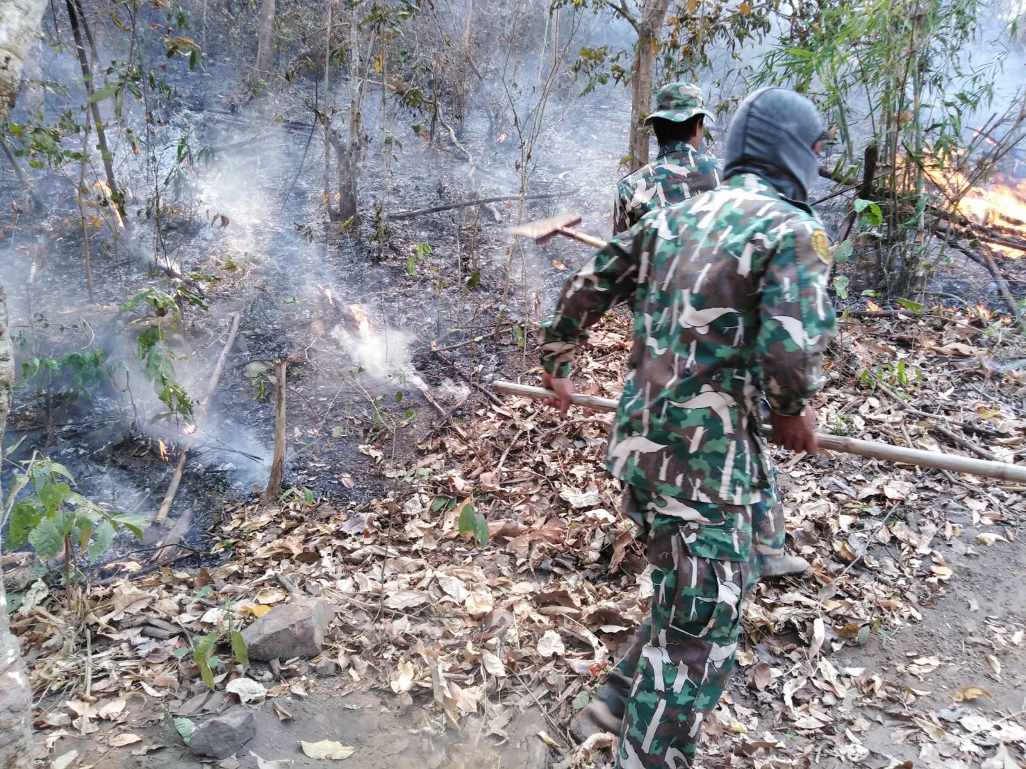 ภาพข่าว