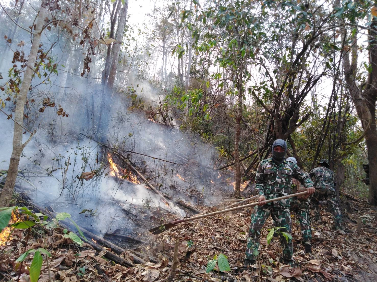 ภาพข่าว