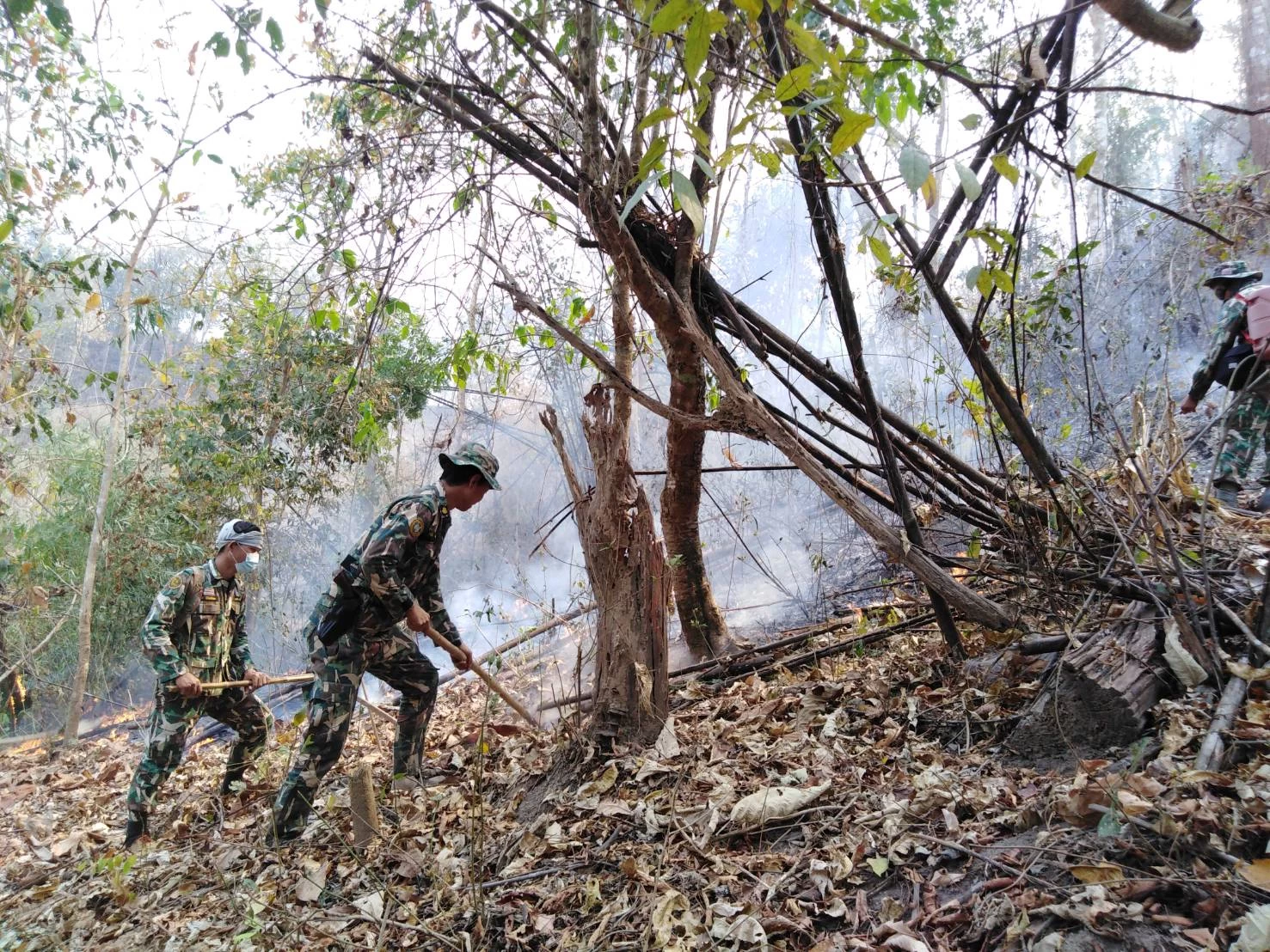 ภาพข่าว