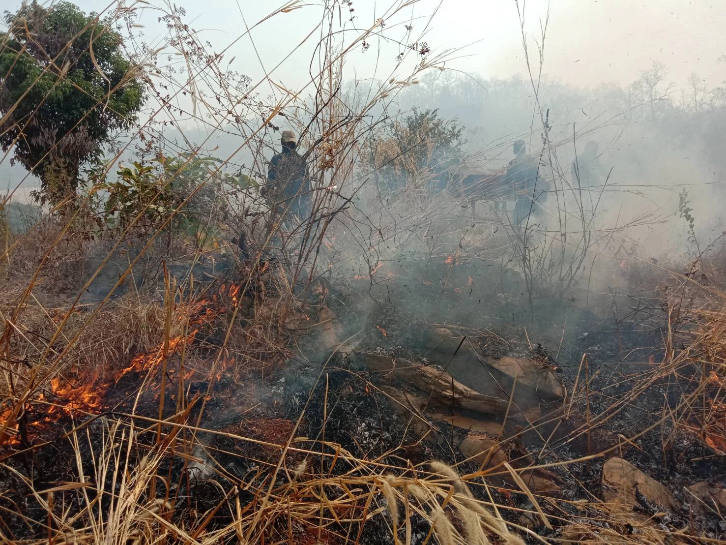 ภาพข่าว